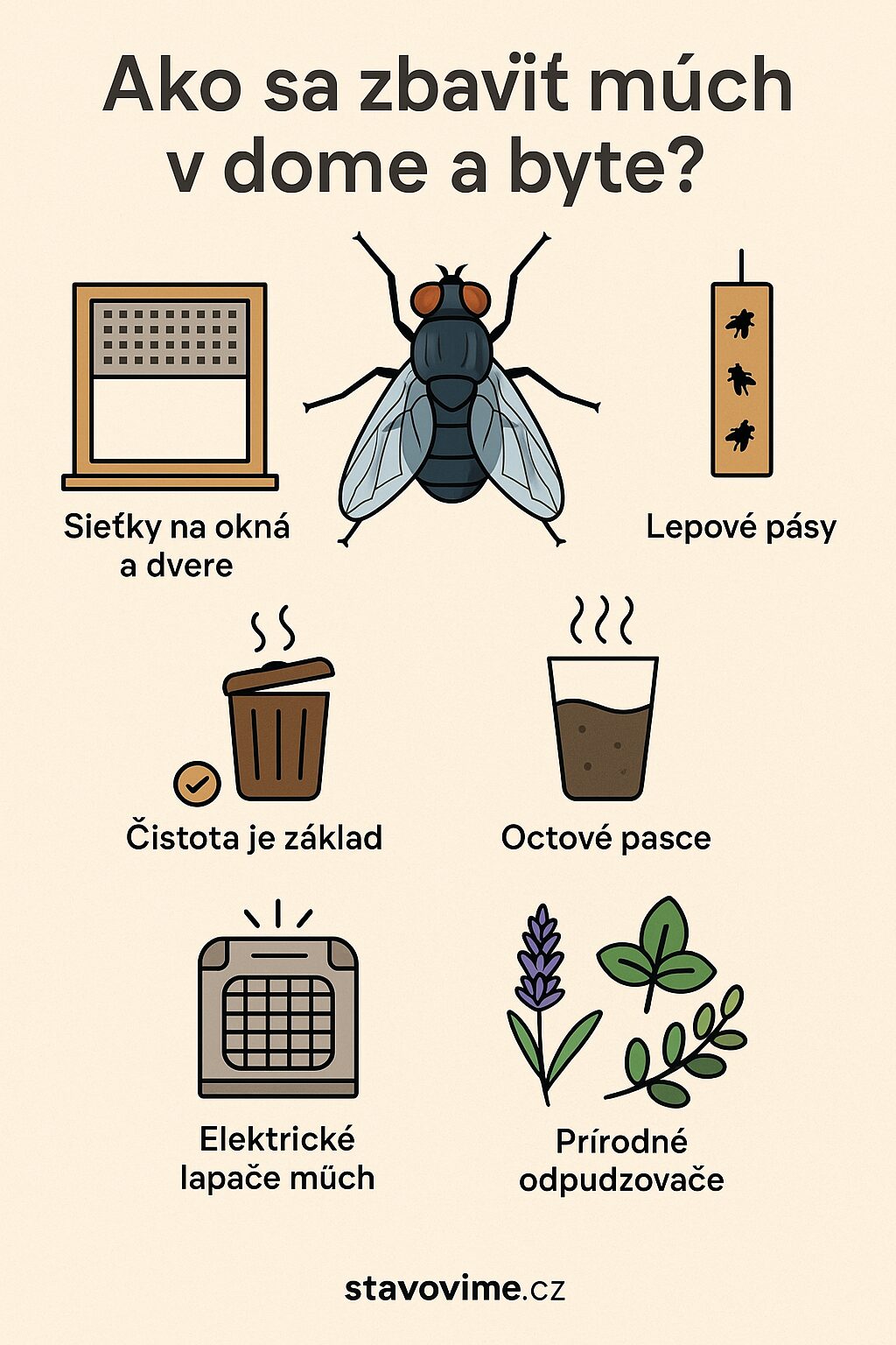 Ako sa zbaviť múch v dome a byte